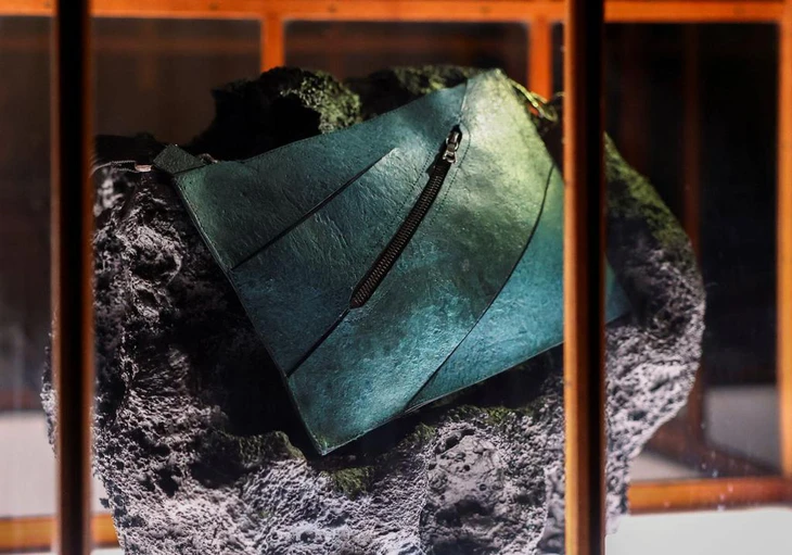 bolso del adn del dinosaurio